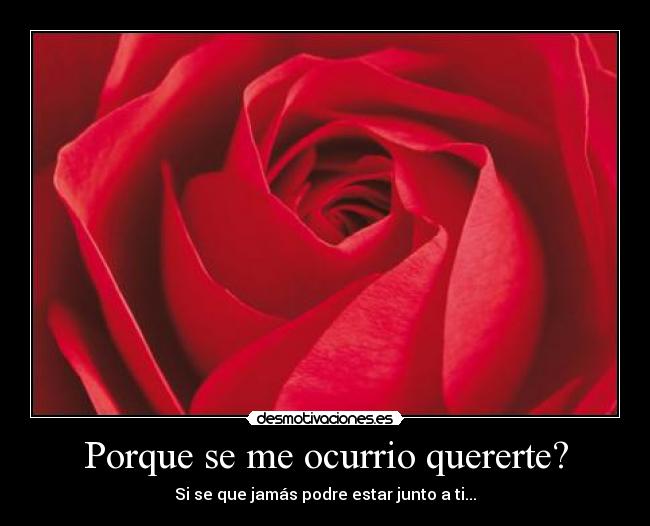 Porque se me ocurrio quererte? - Si se que jamás podre estar junto a ti...