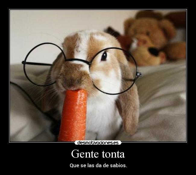 Gente tonta - Que se las da de sabios.