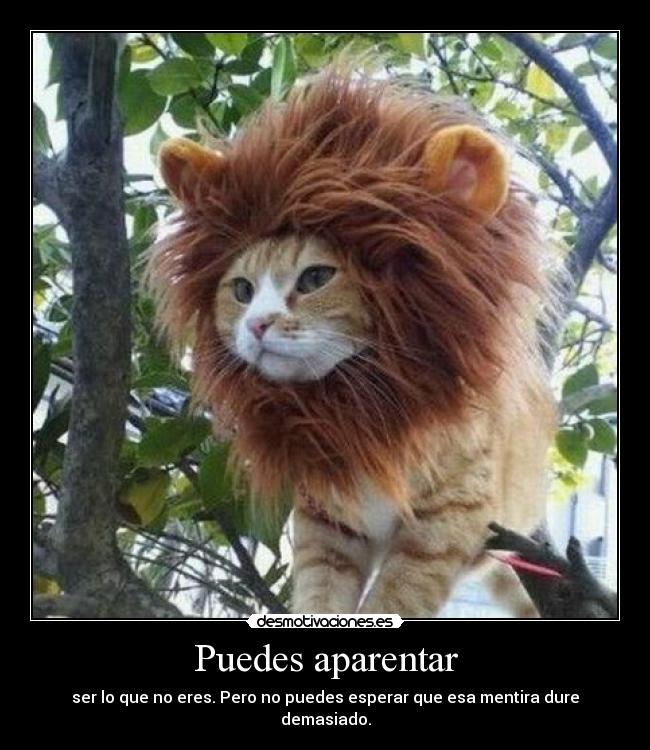 Puedes aparentar - 