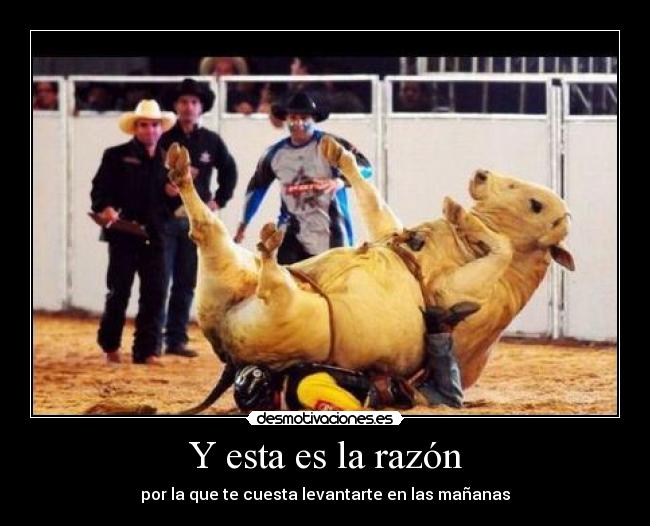 Y esta es la razón - por la que te cuesta levantarte en las mañanas