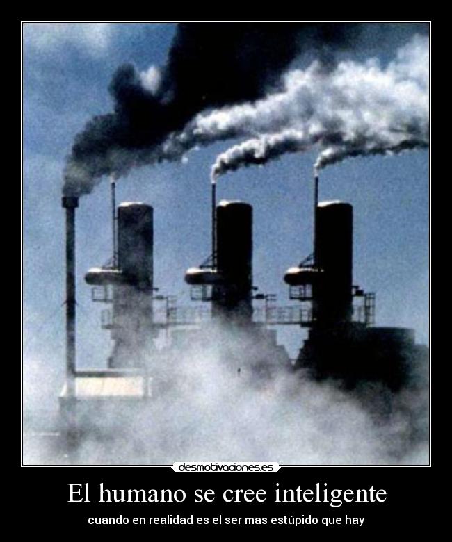 El humano se cree inteligente -