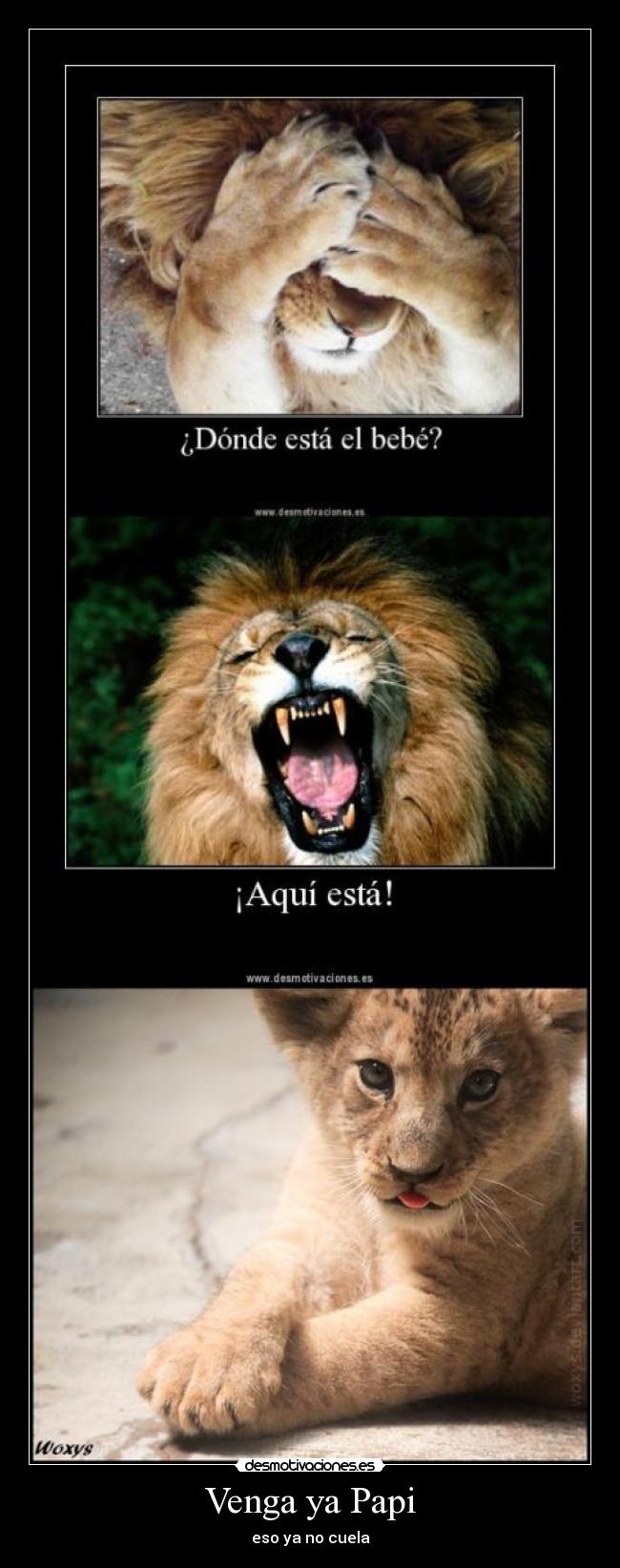 Venga ya Papi -