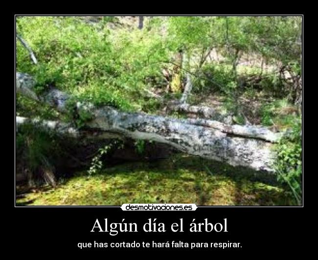 Algún día el árbol - que has cortado te hará falta para respirar.