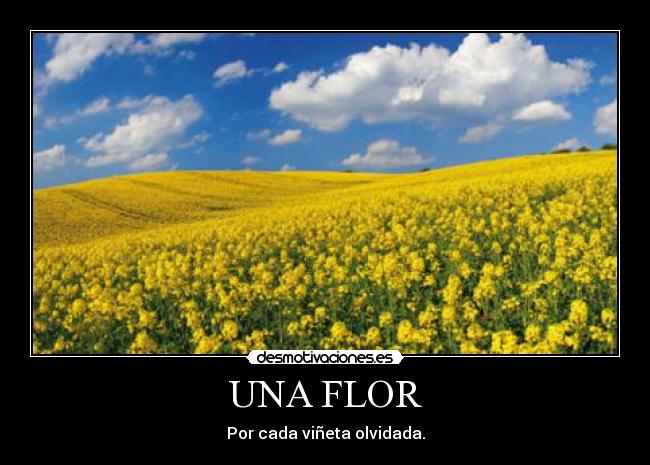 UNA FLOR - Por cada viñeta olvidada.