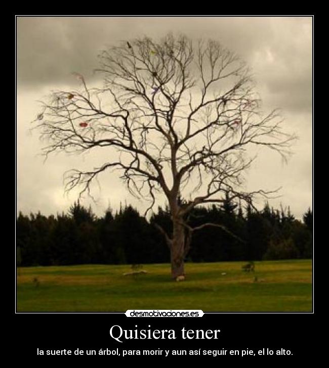 Quisiera tener - la suerte de un árbol, para morir y aun así seguir en pie, el lo alto.