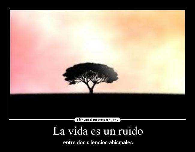 La vida es un ruido - entre dos silencios abismales