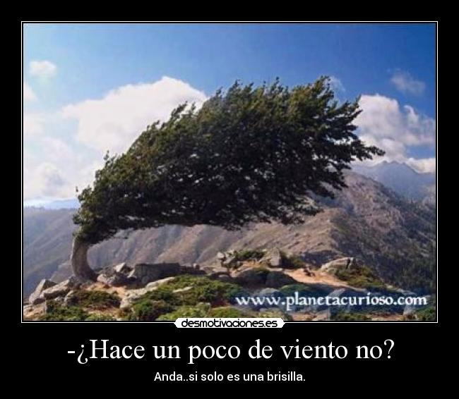 -¿Hace un poco de viento no? - Anda..si solo es una brisilla.