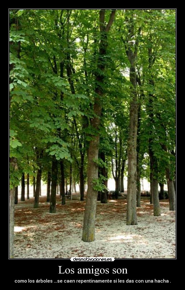 Los amigos son - como los árboles ...se caen repentinamente si les das con una hacha .