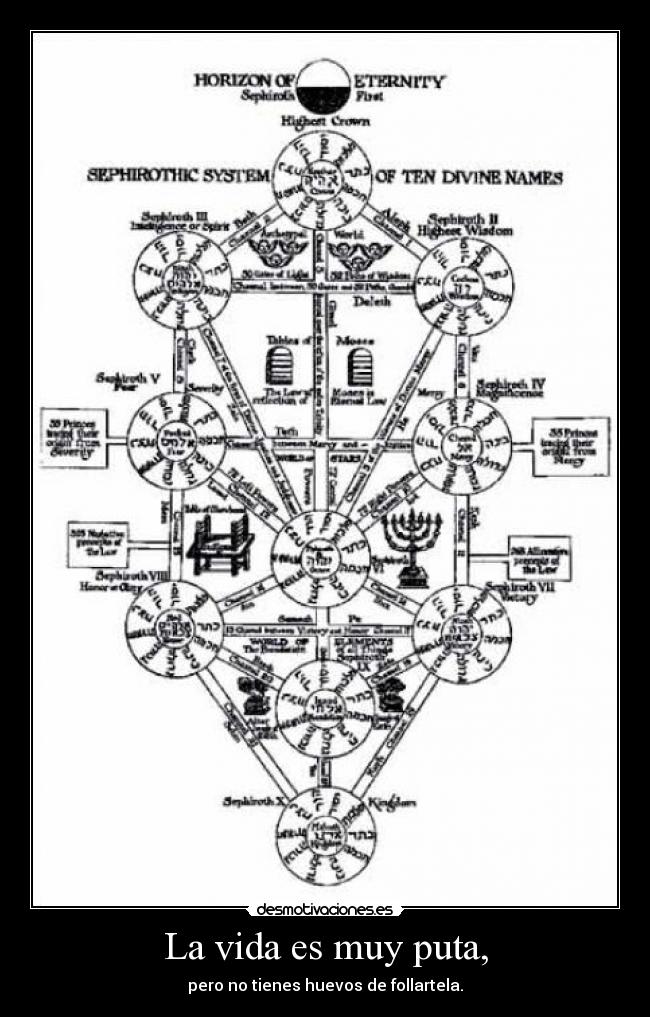 La vida es muy puta, - pero no tienes huevos de follartela.