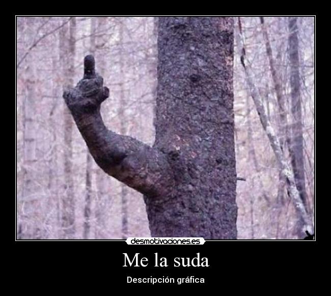 carteles suda desmotivaciones