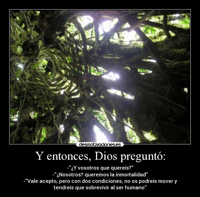 carteles dios arboles desmotivaciones