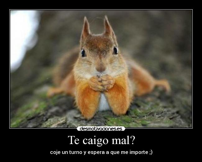 Te caigo mal? - coje un turno y espera a que me importe ;)