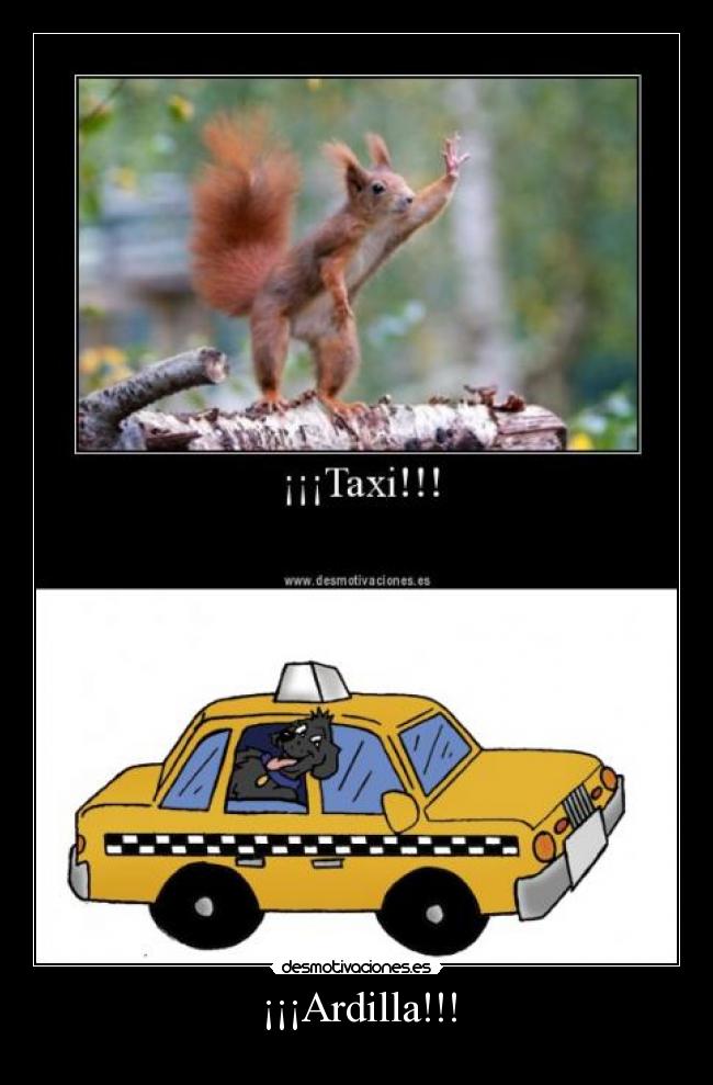 ¡¡¡Ardilla!!! -