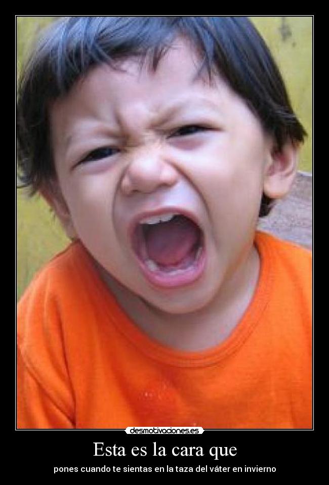 Esta es la cara que - pones cuando te sientas en la taza del váter en invierno