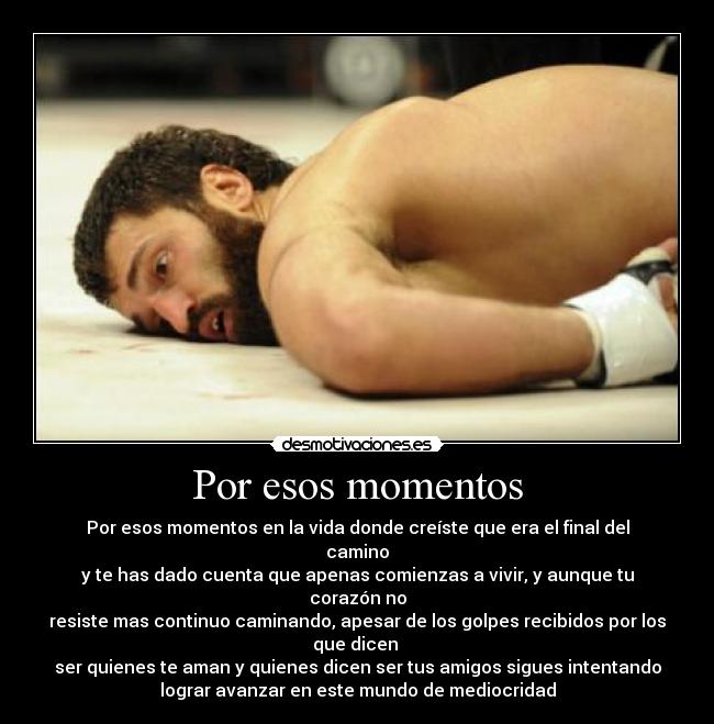 carteles 15101993 desmotivaciones