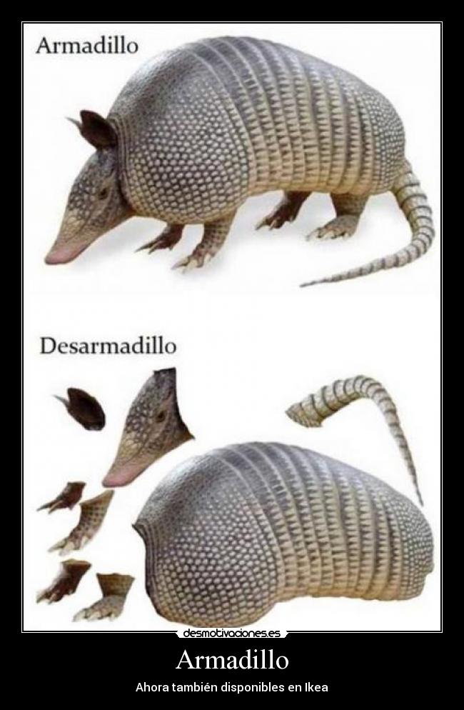 Armadillo - Ahora también disponibles en Ikea