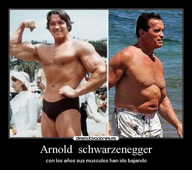 Arnold schwarzenegger - con los años sus musculos han ido bajando