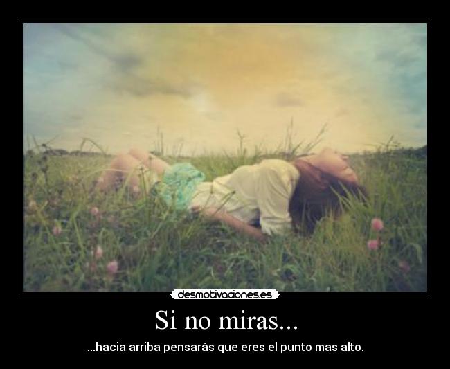 Si no miras... - ...hacia arriba pensarás que eres el punto mas alto.