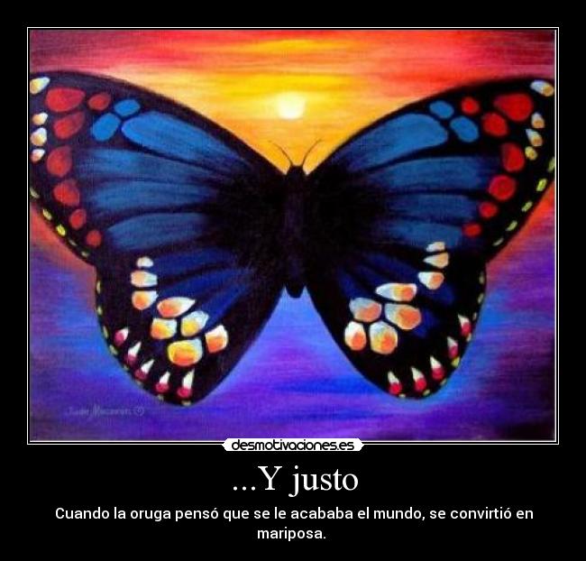 ...Y justo - Cuando la oruga pensó que se le acababa el mundo, se convirtió en mariposa. ♥