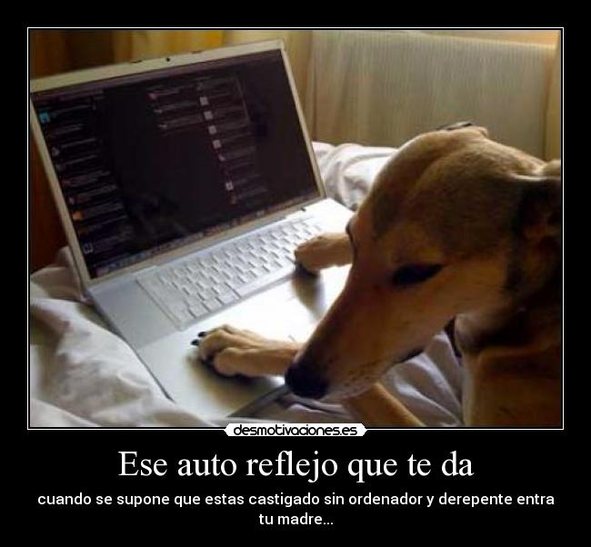 Ese auto reflejo que te da - cuando se supone que estas castigado sin ordenador y derepente entra tu madre...