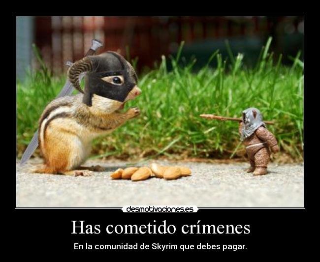 carteles las ardillas molan skyrim tambien desmotivaciones