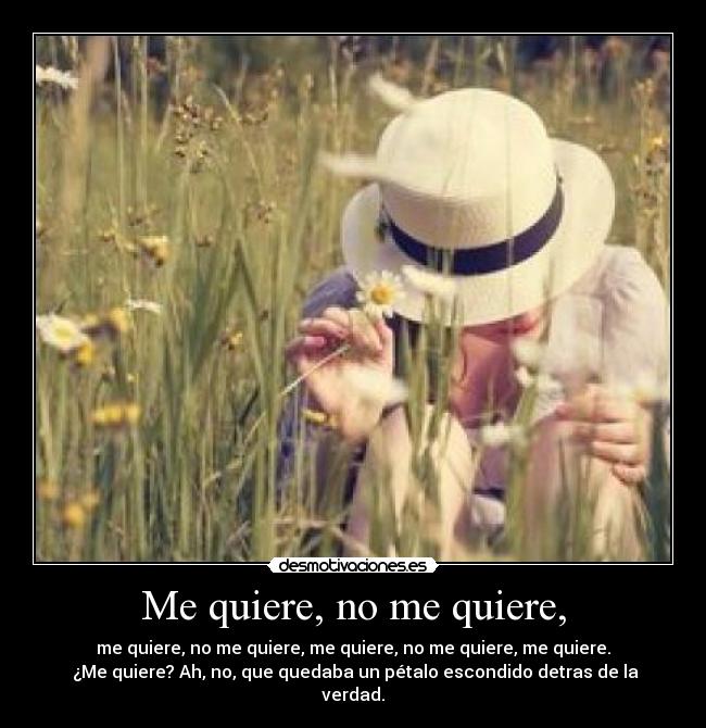 Me quiere, no me quiere, - me quiere, no me quiere, me quiere, no me quiere, me quiere.
¿Me quiere? Ah, no, que quedaba un pétalo escondido detras de la verdad.
