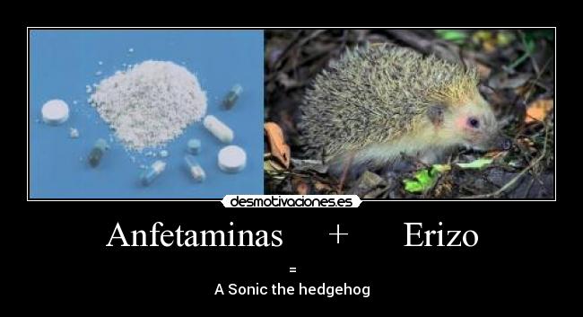 Anfetaminas     +      Erizo - =
A Sonic the hedgehog