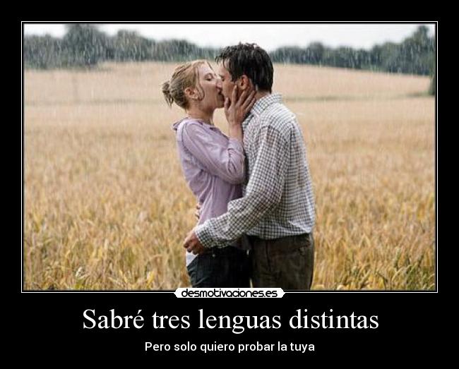 carteles ingles valenciano castellano ewook kittag elclanviral slake desmotivaciones