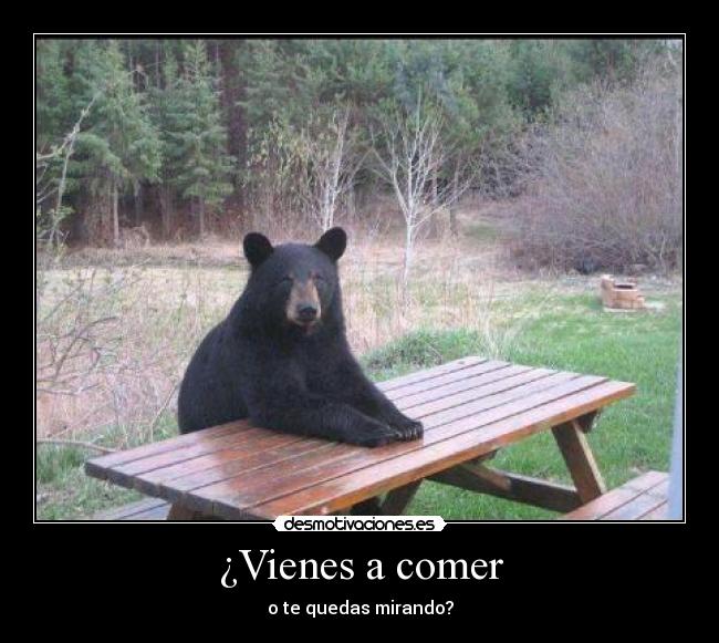 ¿Vienes a comer - o te quedas mirando?