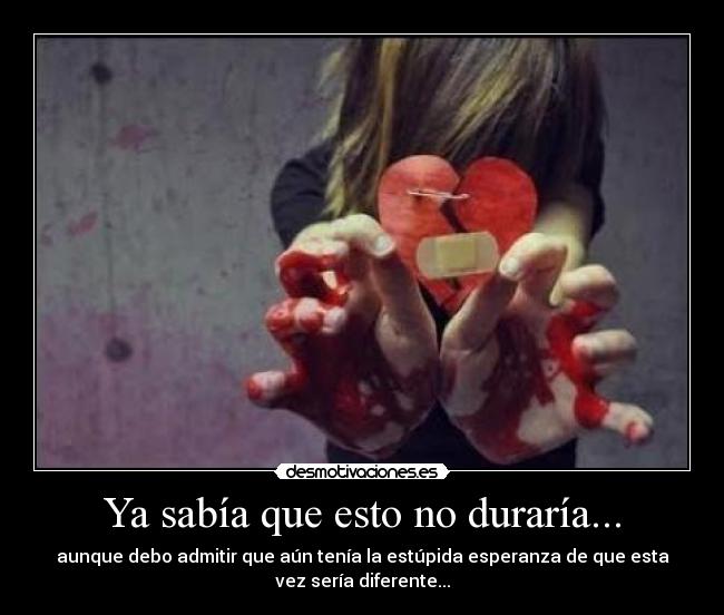 Ya sabía que esto no duraría... - aunque debo admitir que aún tenía la estúpida esperanza de que esta
vez sería diferente...