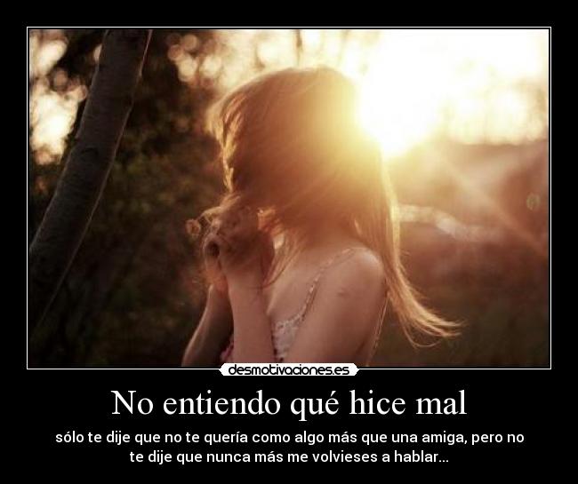 No entiendo qué hice mal - sólo te dije que no te quería como algo más que una amiga, pero no
te dije que nunca más me volvieses a hablar...