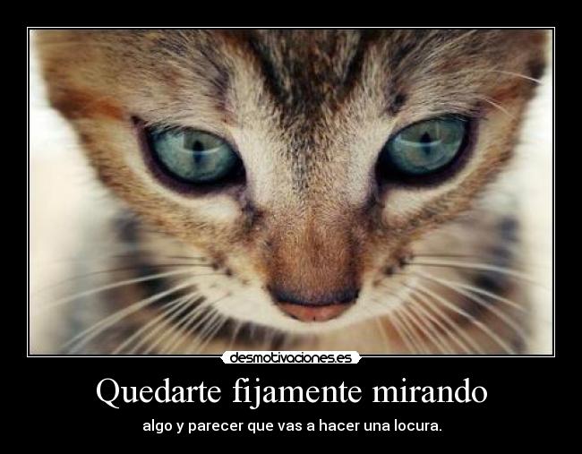 Quedarte fijamente mirando - algo y parecer que vas a hacer una locura.