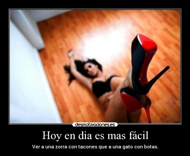 Hoy en dia es mas fácil - Ver a una zorra con tacones que a una gato con botas.