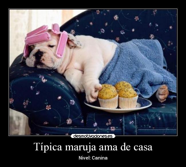 Típica maruja ama de casa - Nivel: Canina