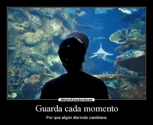 Guarda cada momento - Por que algún día todo cambiara.