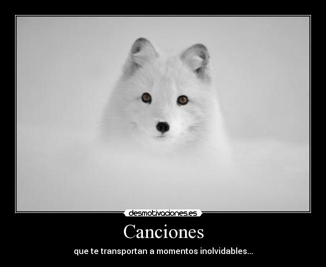 Canciones - 