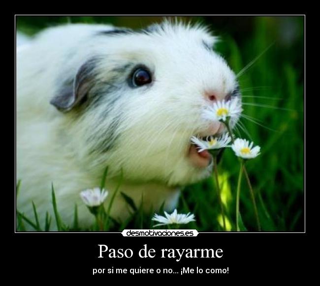 Paso de rayarme - 
