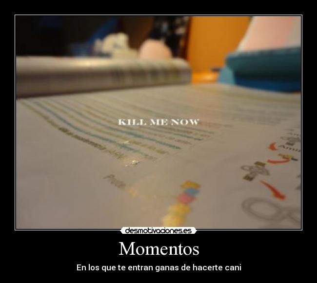 Momentos - En los que te entran ganas de hacerte cani