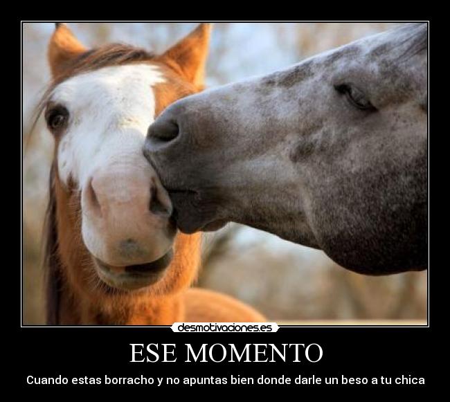 ESE MOMENTO - 