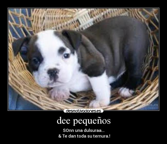 dee pequeños - 