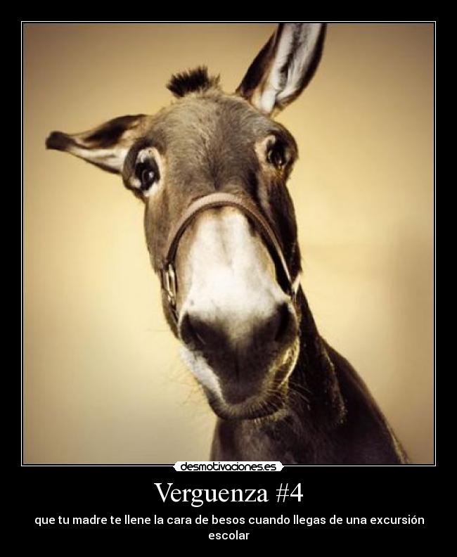 Verguenza #4 -