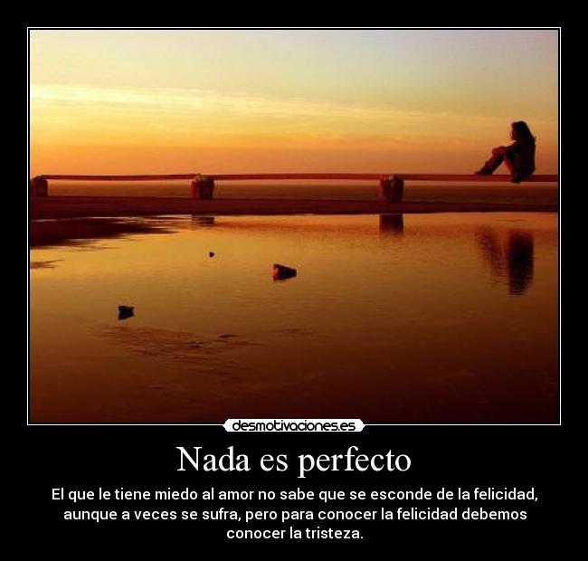 Nada es perfecto -