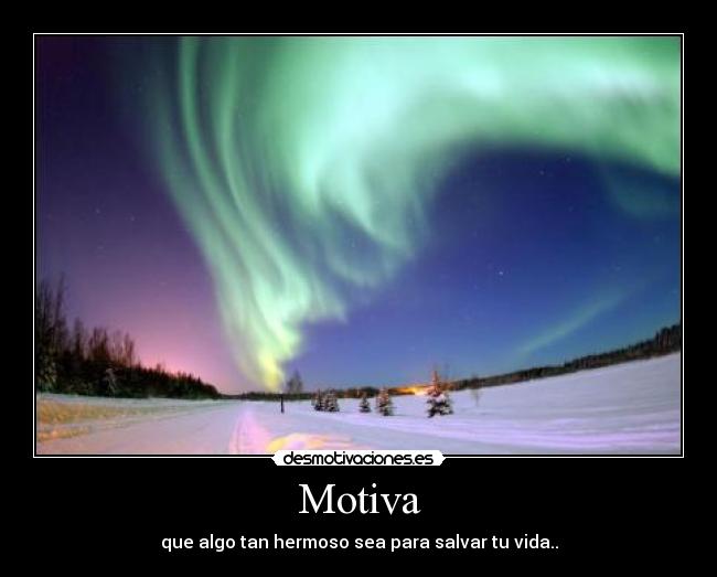 Motiva - 