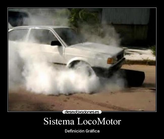 Sistema LocoMotor -
