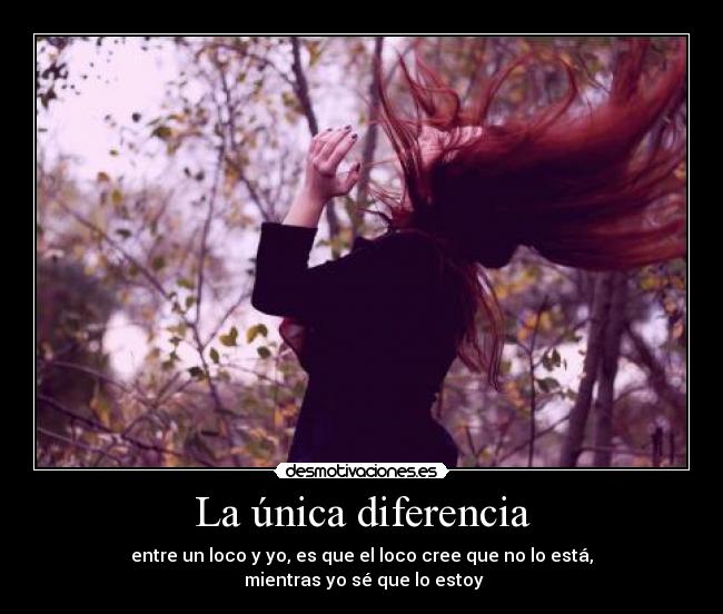La única diferencia - entre un loco y yo, es que el loco cree que no lo está,
mientras yo sé que lo estoy