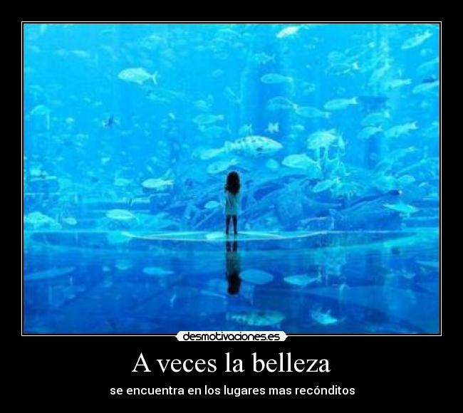 carteles kuroi desmotivaciones