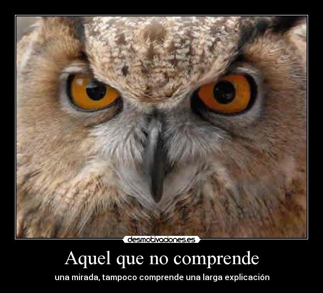 Aquel que no comprende -