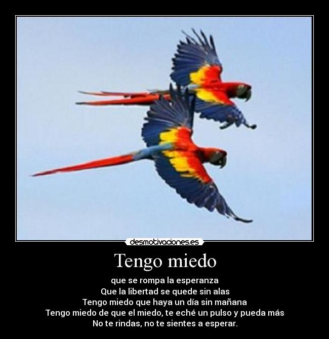 Tengo miedo - que se rompa la esperanza
Que la libertad se quede sin alas
Tengo miedo que haya un día sin mañana
Tengo miedo de que el miedo, te eché un pulso y pueda más
No te rindas, no te sientes a esperar.