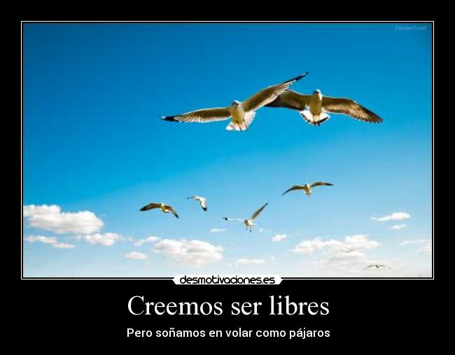 Creemos ser libres - Pero soñamos en volar como pájaros