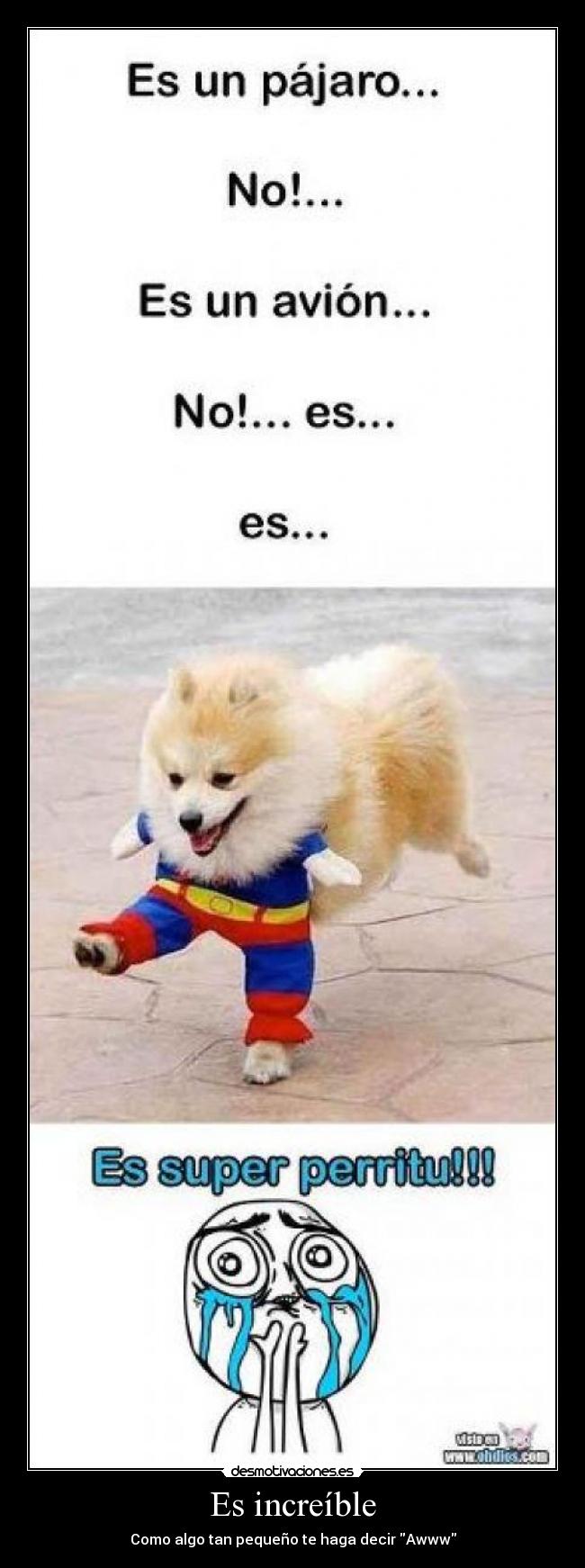 Es increíble - Como algo tan pequeño te haga decir Awww